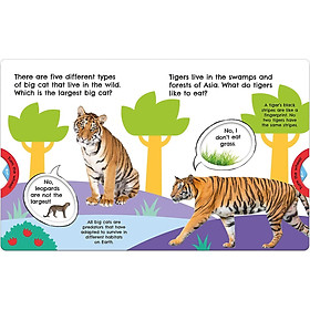 Hình ảnh sách First Facts Big Cats (Turn-the-Wheel Books)