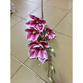 Mua Hoa giả CÀNH MỘC LAN CAO SU -- HOA LỤA CAO CẤP