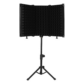 Mic Isolation  3 Panels