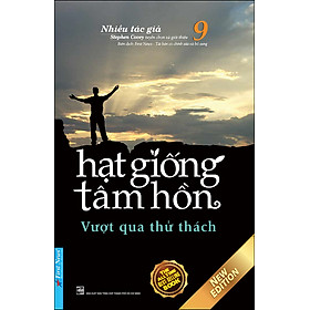 Sách Hạt Giống Tâm Hồn 9:  Vượt Qua Thử Thách (Tái Bản 2020)