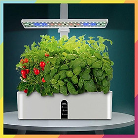 Máy Nảy Mầm Gốc Nhanh Có Tích Hợp Led UV trồng cây Smart Cultivation - Euro Outlet