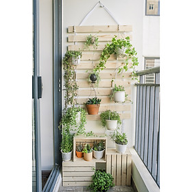 Mua Combo Kệ gỗ để Ban công đa năng  Bảng treo cây cảnh / 3 hộp pallet gỗ tự nhiên  giá treo tường
