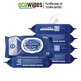 Khăn Ướt Flushable EcoWipes Gói 60 Tờ Khăn Lau Vệ Sinh Tự Phân Hủy Trong Nước