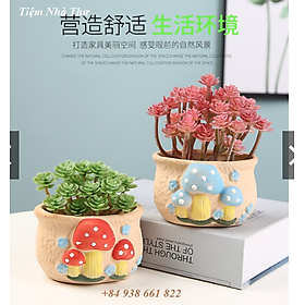 Chậu trồng cây bằng gốm họa tiết nấm, trồng sen đá, xương rồng, cây cảnh nhỏ