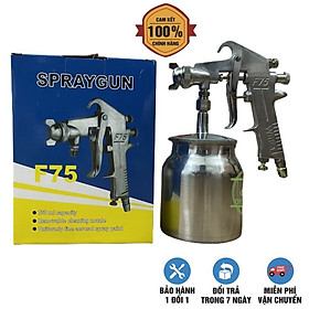 Mua bình Phun Sơn F75s-750ml