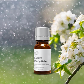 Mua Tinh dầu phối hương 10ml Mưa ngọt đầu mùa - Sweet Early Rain