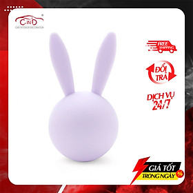 Sáp Thơm ghim Máy Lạnh CARMATE Sai Angel Rabbit Air DSG65 Flower Savon 4g
