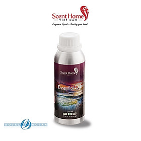 Mua Tinh dầu Scent Homes - mùi hương (Ocean Hotel)