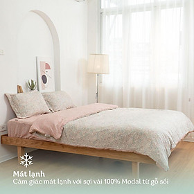 Mua Chăn bốn mùa họa tiết hoa Cẩm chướng MDSM2202 200*220