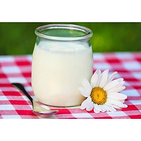 Mua Hũ đựng sữa chua  yaourt 100ml tiện dụng