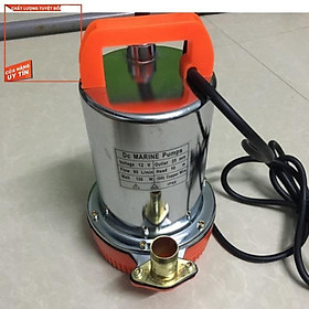 Mua MÁY BƠM CHÌM 12V INOX XỊN XÒ