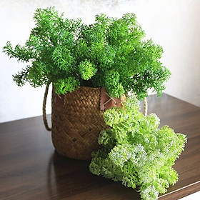 Mua Cụm rong mốc trang trí cắm điểm siêu xinh - Cây giả  hoa lụa Decor trang trí nhà cửa