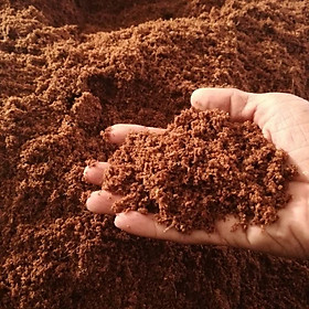 Mua Mụn xơ dừa đã qua xử lí