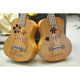 Mua ĐÀN UKULELE CONCERT HÌNH