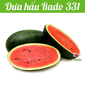 Hạt giống Dưa Hấu RD331 - Trồng quanh năm