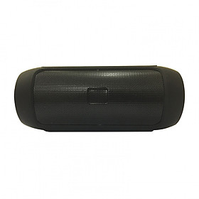Loa Bluetooth PKCB 2+