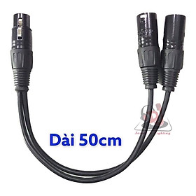 Rắc chuyển âm thanh ra 2 rắc đực, dài 50cm, rắc chia jack XLR