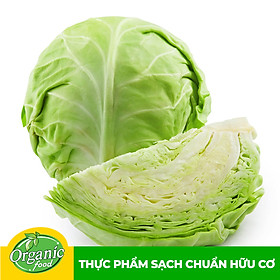 Chỉ Giao HCM - Bắp cải trắng hữu cơ Organicfood - 1kg