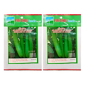 Bộ 2 Gói Hạt Giống Cà Xanh Mỡ F1 Phú Nông PN-222 (3g / Gói)