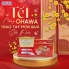 Hộp quà Tết - Set hộp quà Tết cao cấp - 2 chai dầu hạt lanh OHAWA 500ml