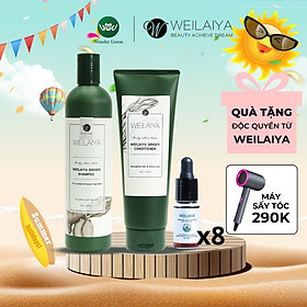 Combo ngăn rụng và kích thích mọc tóc gừng trắng Weilaiya