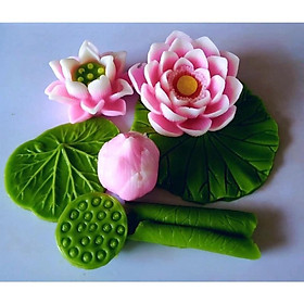 Mua sét hoa sen 7 món