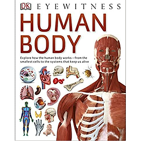 [Download Sách] Eyewitness Human Body
