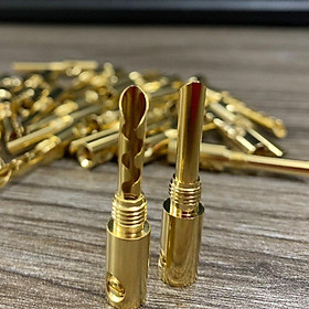 Mua Jack Loa Bắp Chuối - Răng Cưa Hàng Tốt