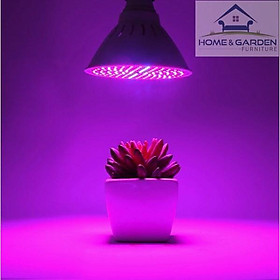 Đèn led trồng cây trong nhà, led trồng cây công nghiệp và hộ gia đình công suất 6W siêu hot mới 2018