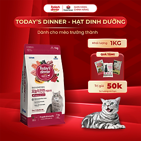 - Thức ăn hạt dành cho mèo trưởng thành TODAY'S DINNER