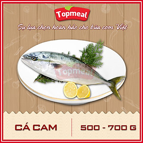 HCM - Cá cam 500 - 700g - Thích hợp với các món kho, chiên, rim, nướng,