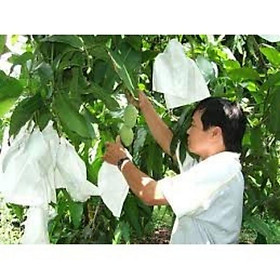 Sét 100 túi bọc ổi,bưởi, xoài,nạ kỳ 20x30cm vải không dệt có dây rút