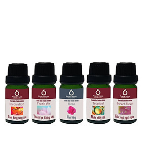 Combo Tinh Dầu Dùng Máy C1055 Peace Mass 10ml Cảm Hứng Sáng Tạo + Thanh Lọc Không Khí + Hoa Hồng + Miền Nhiệt Đới + Giấc Ngủ Ngọt Ngào