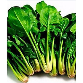 Hạt Giống Rau Cải Bó Xôi Cao Sản - Gói 1KG