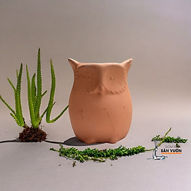 Chậu Gốm Đất Nung Hình Chú Cú Nhỏ Dễ Thương _ Chậu Gốm Đất Nung Trồng Sen Đá