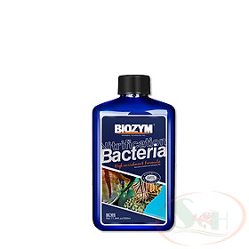 Vi sinh nước Biozym Nitrifying Bacteria đậm đặc xử lý nước bể thủy sinh cá tép cảnh