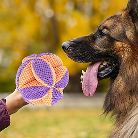 Pet Sniff Ball Toy Bite Resistant Slow Feeder Training Educational Toy IQ Training Treat Dispensing Dog Toys Dog Enrichment Toys