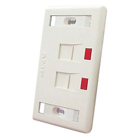 Mua Mặt Nạ AMP 2 Port Cho Cáp CAT5E & CAT6 (Commscope) - Hàng Chính Hãng