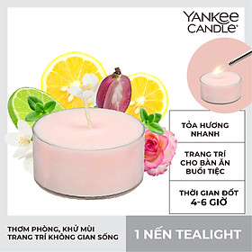 Mua Hộp 1 Nến Tealight (mùi ngẫu nhiên)