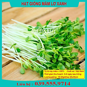 Hạt Giống Rau Mầm Lơ Xanh - Rau Mầm Trồng Tại Nhà