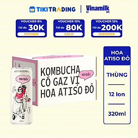 Thùng 12 lon Kombucha Có Gaz Vị Hoa Atiso Đỏ HAYĐẤY 320ml