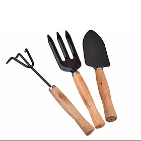 Bộ Dụng Cụ Làm Vườn Mini Với Tay Cầm Bằng Gỗ (3 Chiếc)