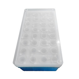 Storage Box Test Tube Organizer Compartment Dustproof Plant Seeds