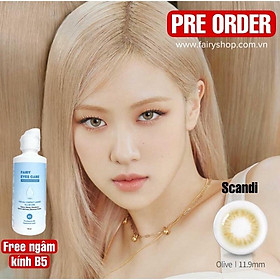 1 chiếc Kính Áp tròng Scandi Olive 14.0MM - Kính Áp Tròng FAIRY SHOP CONTACT LENS độ 0 đến 8