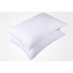 Mua COMBO 2 RUỘT GỐI HÀNG ĐẸP CAO CẤP KT 45x65