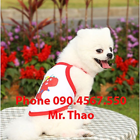 Áo cho chó mèo 2 chân, Đủ Size, Quần Áo Thú Cưng