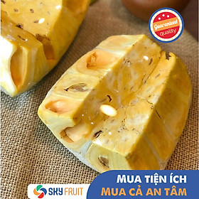 MÍT THÁI MIẾNG SKY FRUIT BỎ LÕI - GIÒN NGON VÀ RẤT THƠM