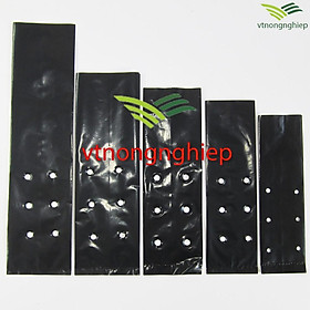 Mua 1 kg Túi ươm cây  thương hiệu Nguyễn Tân  nhựa Pe đen  đáy vuông