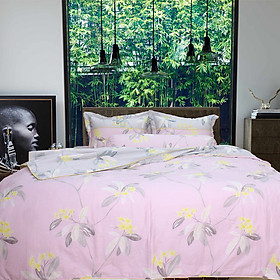 Bộ Ga Cotton Sợi Bông Hàn Quốc Julia 231HBK16-1m6 x 2m