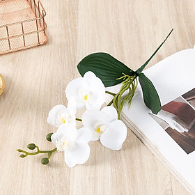 Mua Cây hoa giả - Chậu hoa lan hồ điệp cao cấp cực chill - Hoa trang trí  để bàn